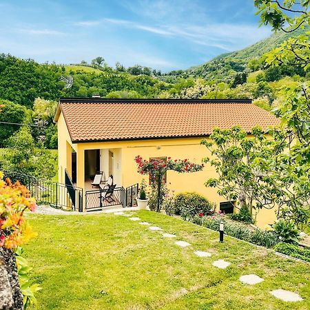Venarotta Il Tuo Casale Tra Le Colline - Marche House 빌라 외부 사진