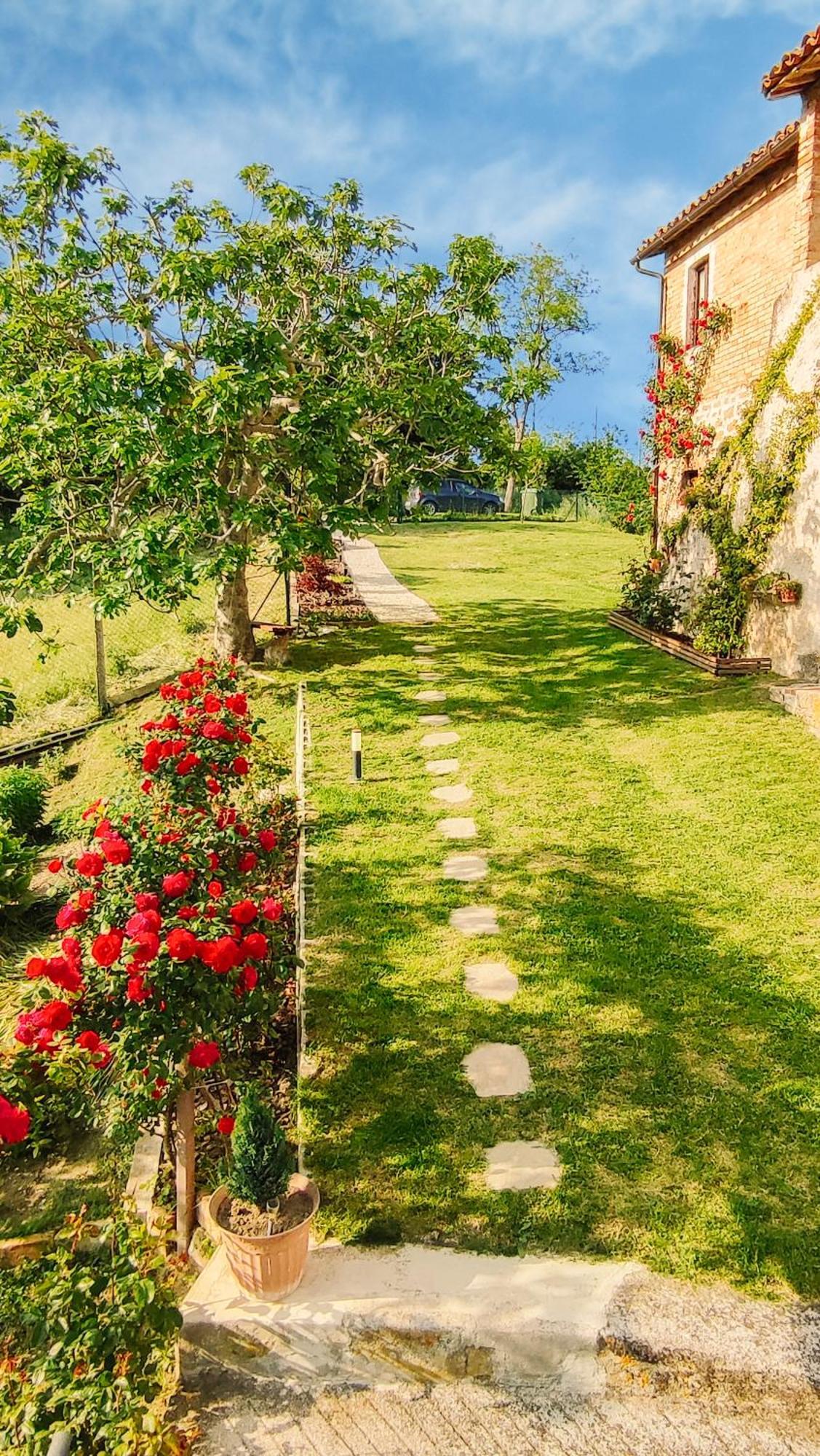 Venarotta Il Tuo Casale Tra Le Colline - Marche House 빌라 외부 사진